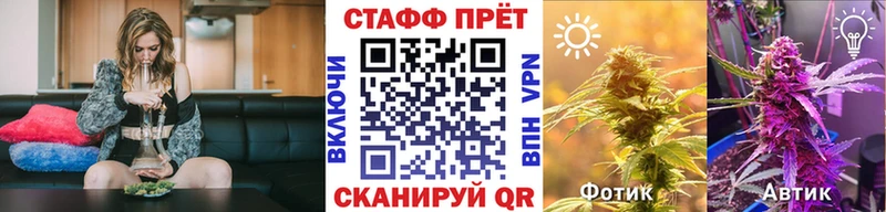 Где найти наркотики Новоалтайск Каннабис  A-PVP  Кокаин  ГАШ  Мефедрон 