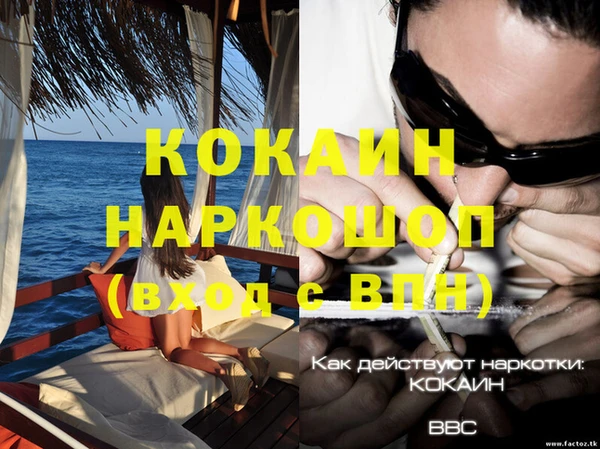 дмт Абаза