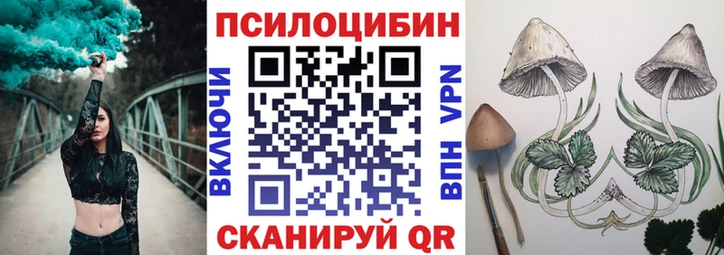 Псилоцибиновые грибы ЛСД  blacksprut зеркало  Новоалтайск 