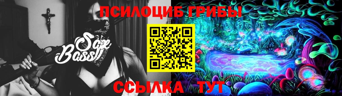 Галлюциногенные грибы Psilocybe  Вход с VPN  Новоалтайск 